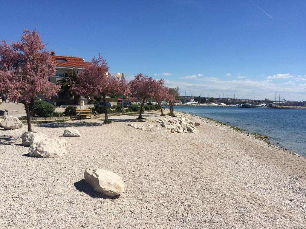 Apartment Valery Zadar Ngoại thất bức ảnh